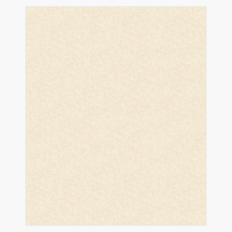 Parchment Natural Card Stock 65 lb Geographics 47620