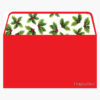 Red Ivy Envelopes A9 Geographics 47918W