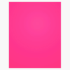 Royal Brites Foam Board Neon Pink Pink 20 x 30 27125
