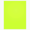 Neon Canary Poster Board Royal Brites