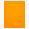 Royal Brites Poster Board Neon Orange 22 x 28 27344