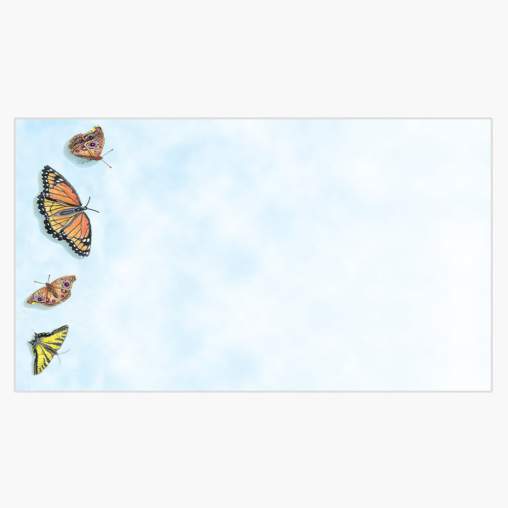 Butterflies Business Cards Geographics 44352 BC 3 5x2 1