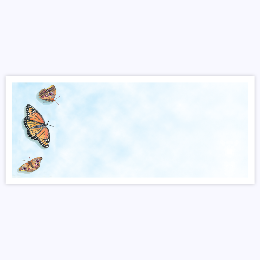 Butterflies Envelopes Geographics 44352 ENV No 10 4 12x9 5 TRS