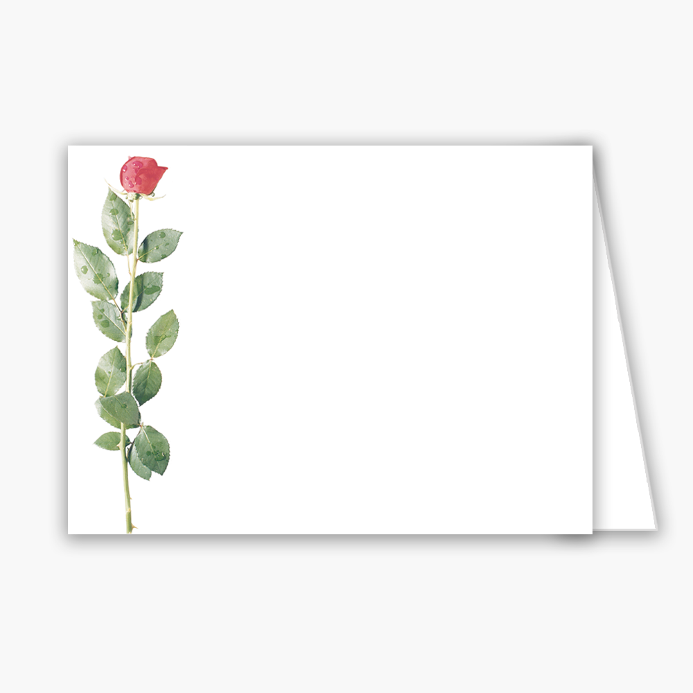 Rose Baronial Horizontal Folded Card No 6 Geographics 40439 CDFV 4 63x6 25