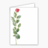 Rose Baronial Vertical Folded Card No 6 Geographics 40439 CDFV 4 63x6 25