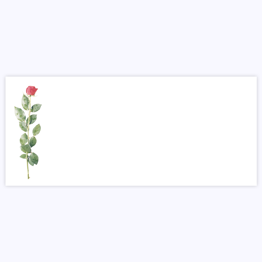 Rose Envelopes Geographics 40439 ENV No 10 4 12x9 5 TRS