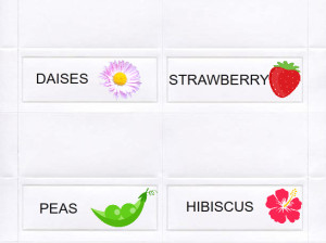 place cards place cards