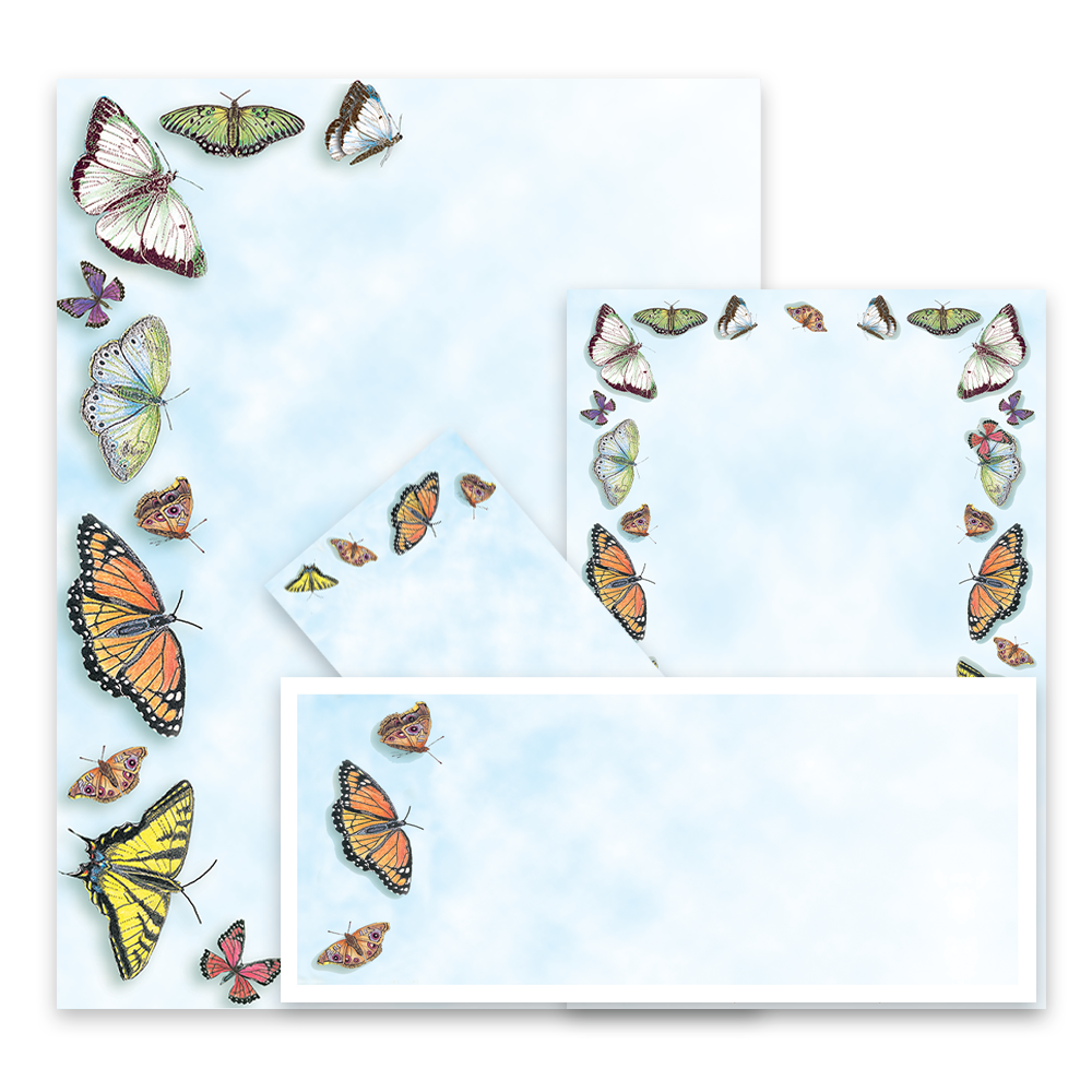 Butterflies Collection