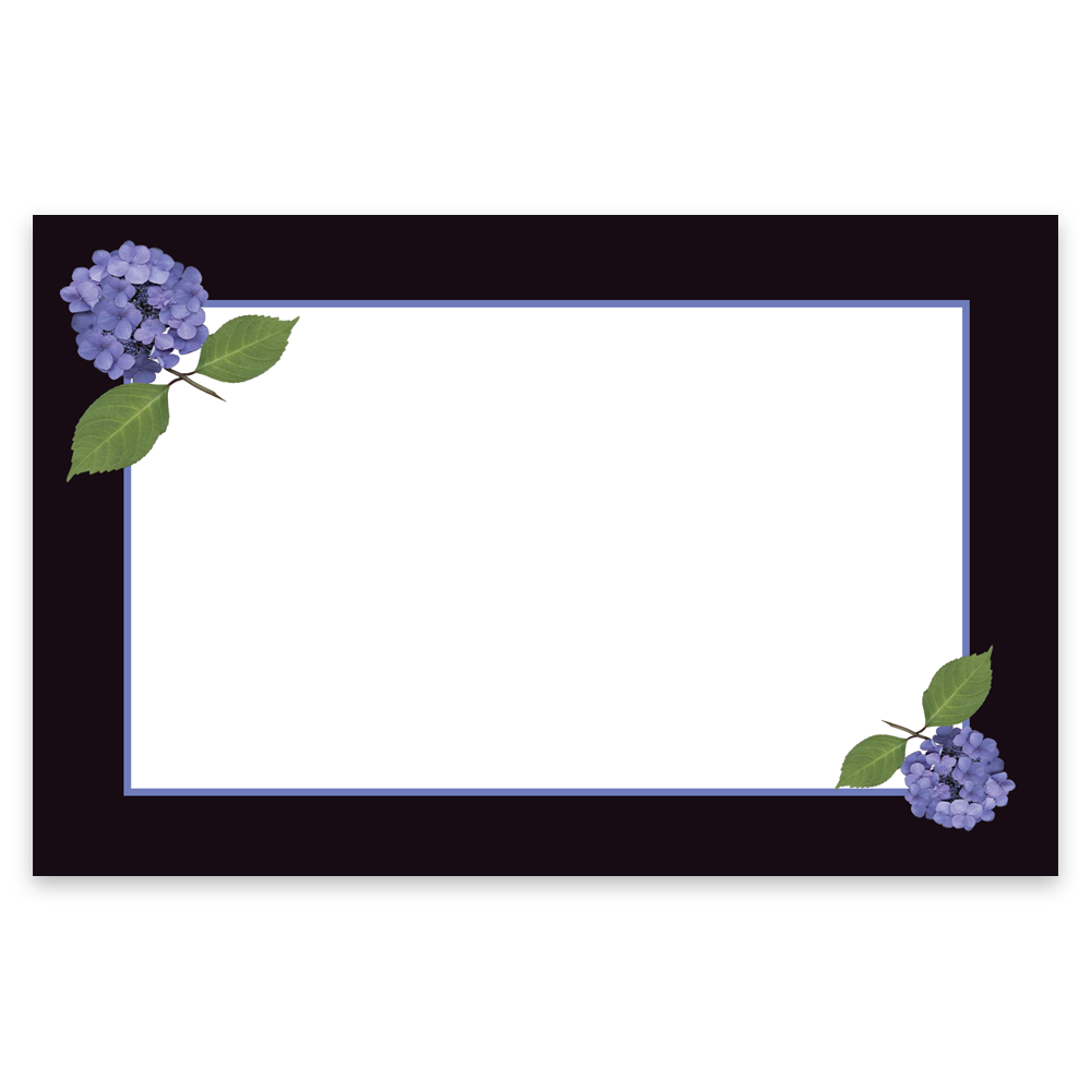 Purple Hydrangea Certificates 55x85 MGP02 PP CRT Geographics png