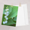 greeting card 5 83x8 27 front 66b24935701d1 jpg