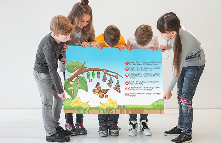 Creative Spring Ideas Fun and Easy Poster Board Projects for Kids