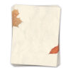 53073 LETT Crushed Leaves Letterhead 8 5x11 Geographics 1