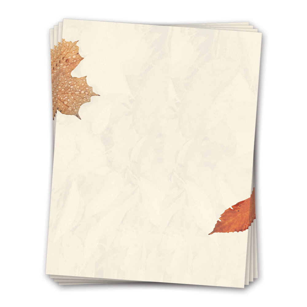 53073 LETT Crushed Leaves Letterhead 8 5x11 Geographics 1